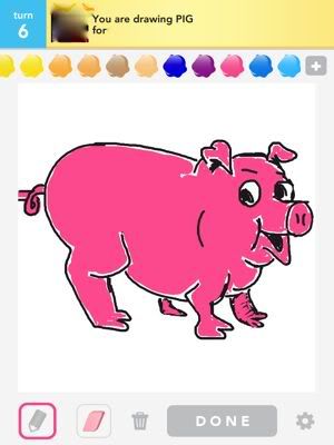 pig