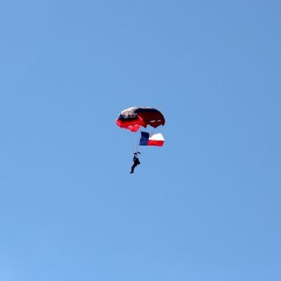 texasflag