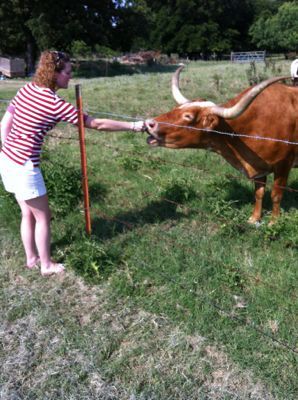 cow