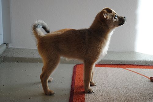 photo 10vk_zpsf8d6eb39.jpg