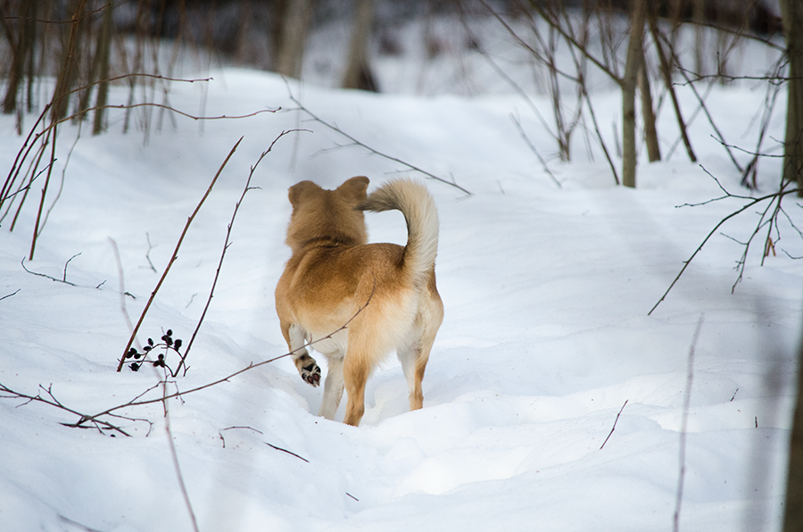 photo Riva_zps8zbl5ngm.png