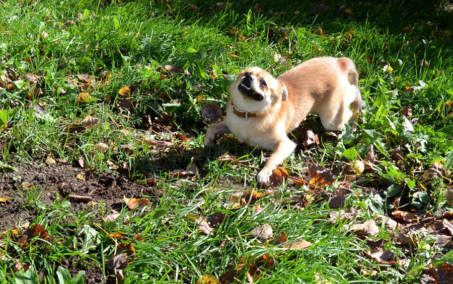 photo Yhah_zps32f4b3bf.jpg