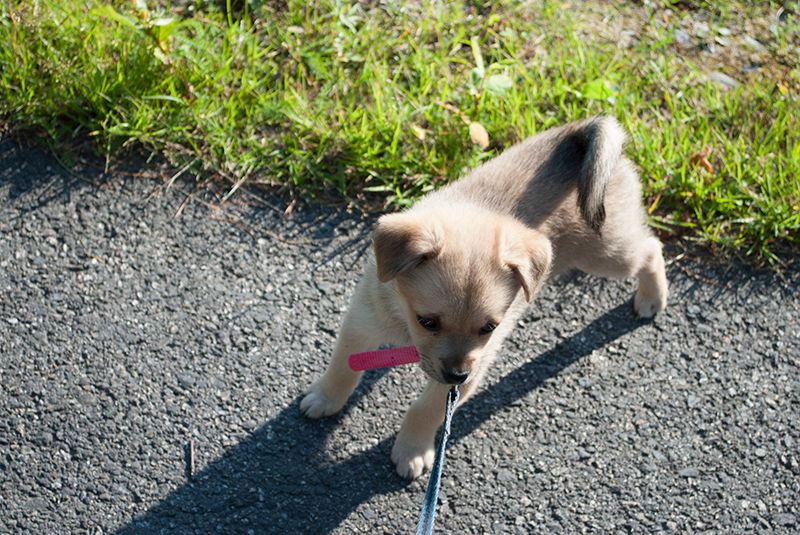 photo huijotain_zps81d41aab.jpg