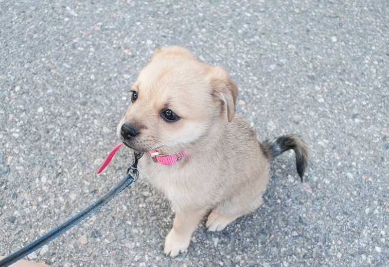 photo kuikui_zps2fcbd808.jpg