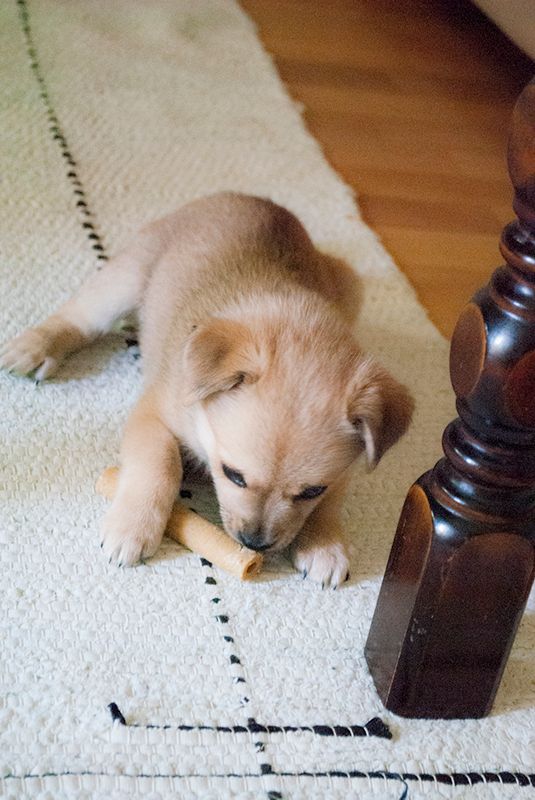 photo luu_zps9b8e7960.jpg