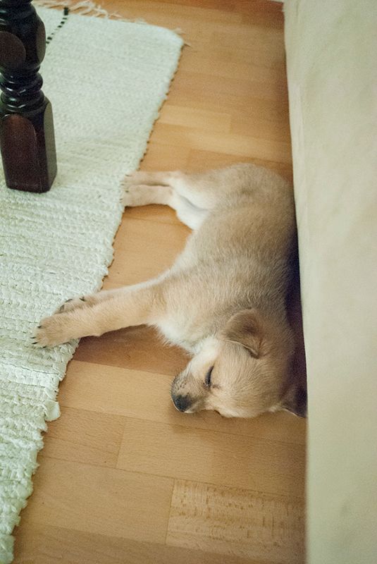 photo nukkuu_zps9e072ae7.jpg