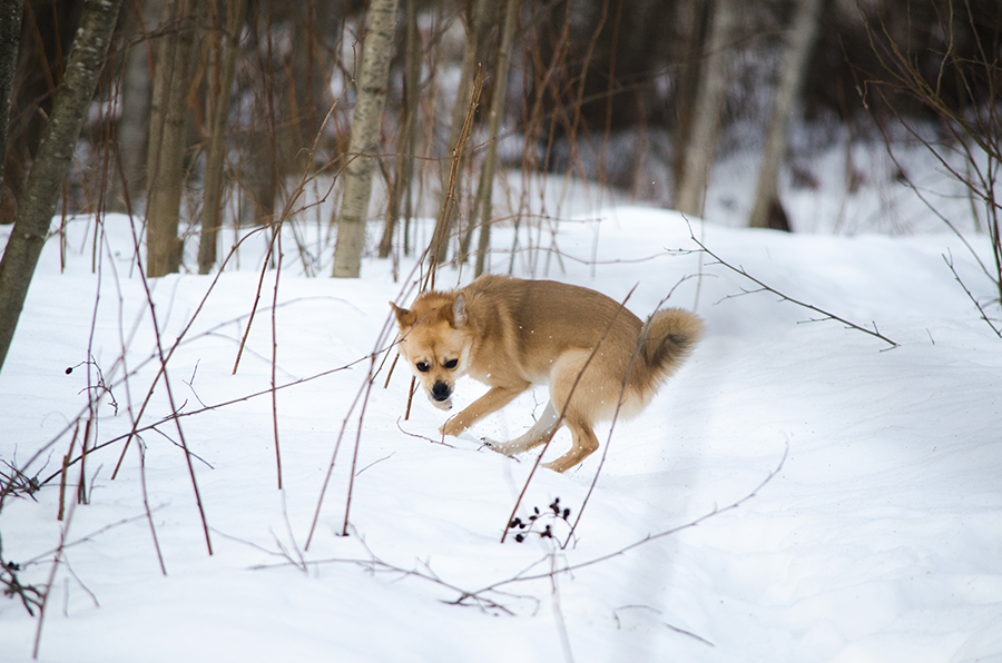 photo rivahauva_zpssnoyobds.png