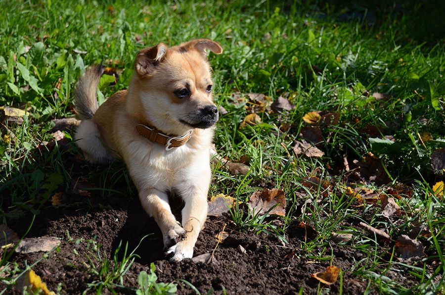 photo tassutristissauml_zpsc0080e31.jpg