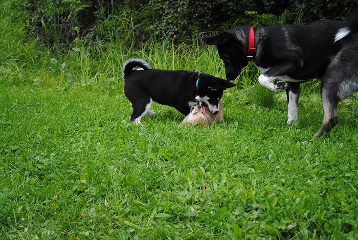 photo hamnam_zps8c8b8d0f.jpg