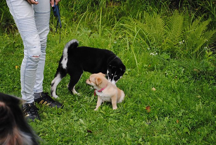 photo loumllly_zps59658bb9.jpg