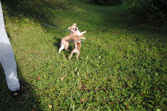  photo nelliijariivaa_zpsf0ef5895.jpg