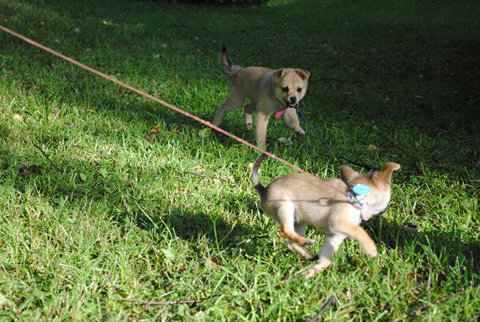 photo nellijariva_zps0d74f917.jpg