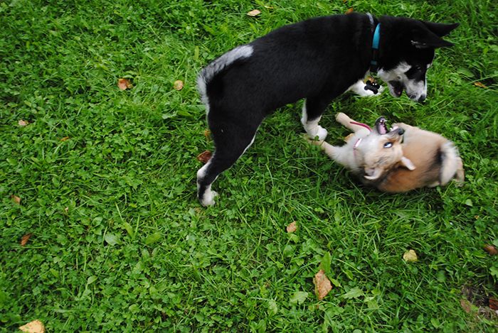 photo noomijariva_zpsbddc10d3.jpg