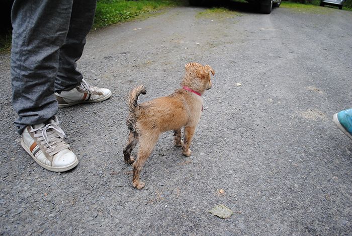 photo rapatassu_zps621007e0.jpg