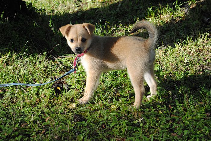 photo vaaveli_zps26e58925.jpg