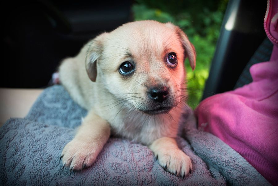 photo Rivamakuulla_zpsc43b336d.jpg