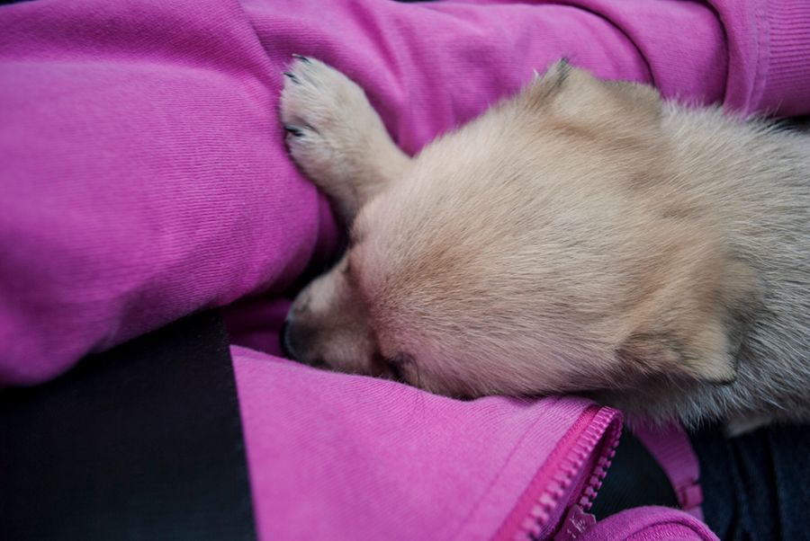 photo aatutilulla_zpsf439c60f.jpg