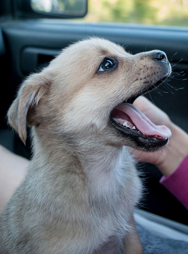 photo haaaaaukotus_zpsc3564d31.jpg