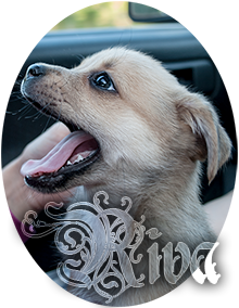  photo sivuu_zpse34c3f34.png