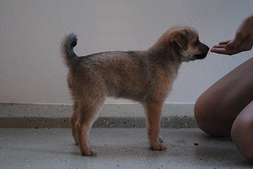 photo vaava2_zpse09acd65.jpg