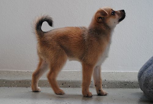 photo vaava_zps9fe516b8.jpg