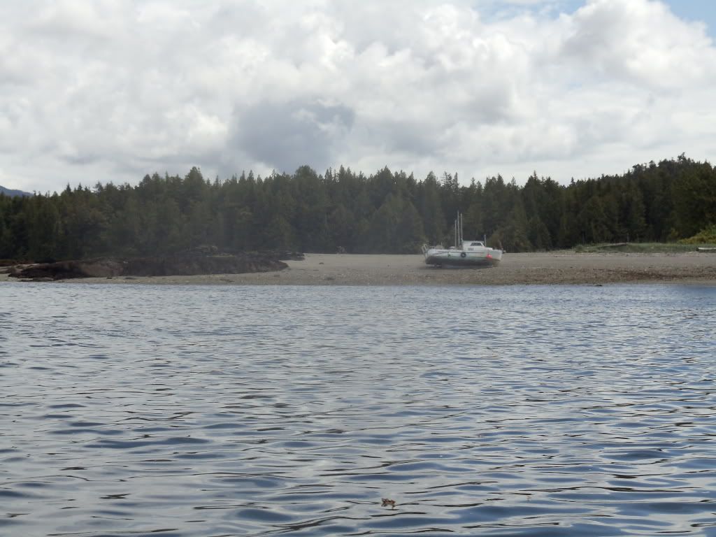 DSC00769.jpg