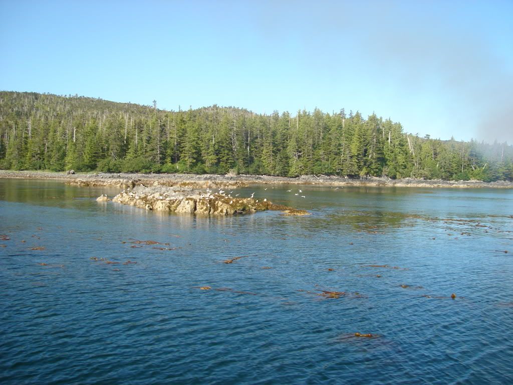 DSC02851.jpg