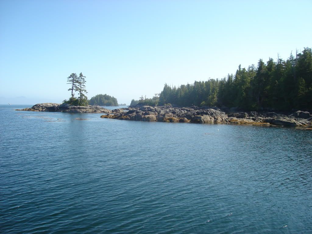 DSC02861.jpg