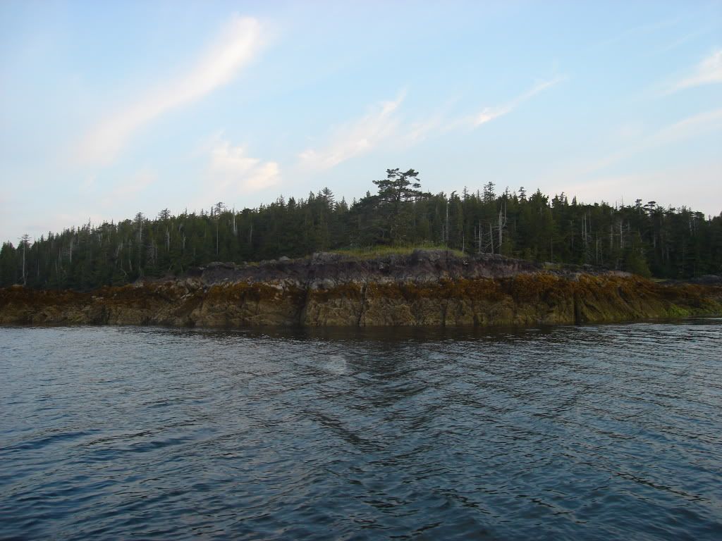 DSC02911.jpg