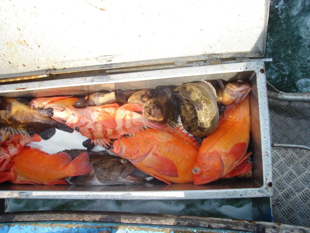 DSC02913.jpg