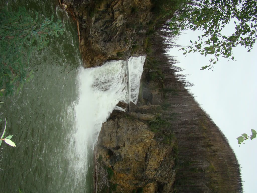 DSC04177.jpg