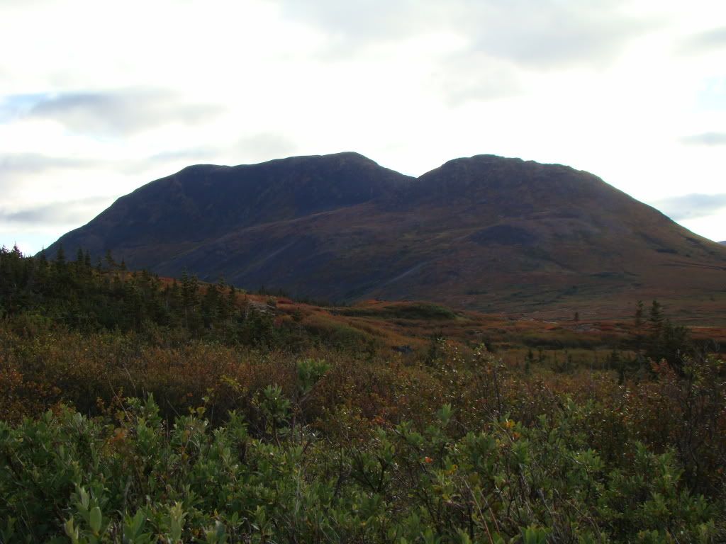 DSC04286.jpg