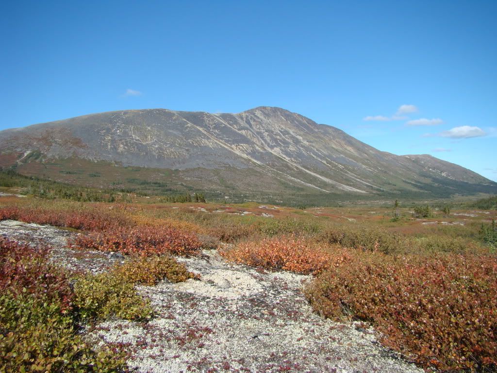 DSC04309.jpg