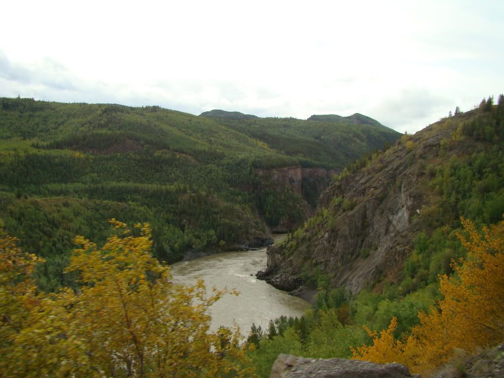 DSC04796.jpg