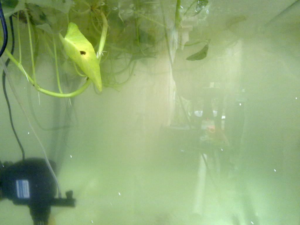 16112011315.jpg