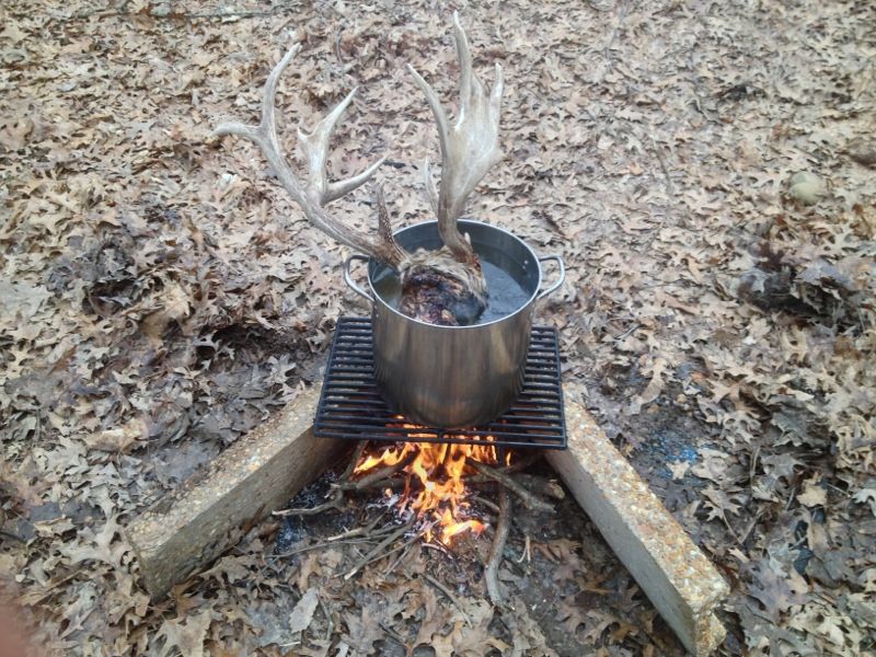 Tennessee Deer Talk Boiling a rotten deer head.....