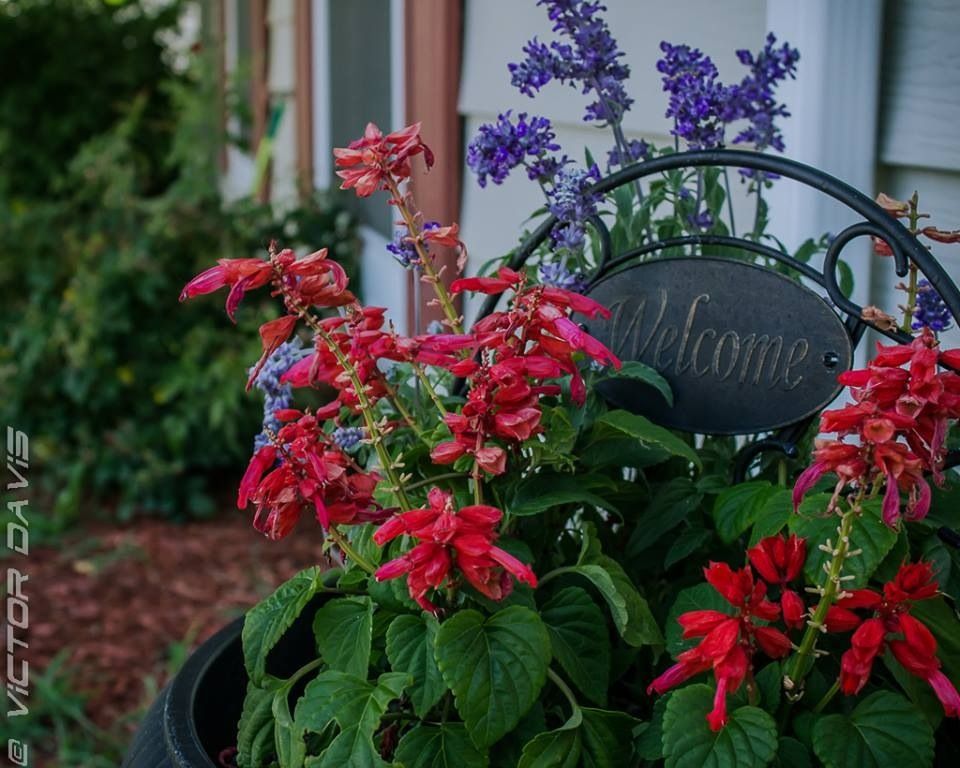 IMAGE: http://i1230.photobucket.com/albums/ee489/VicGenesis/4DFA72B2-CA08-4C22-8140-D651B004EB0F-29270-000007C8DD04DE1F_zpsd75788d5.jpg