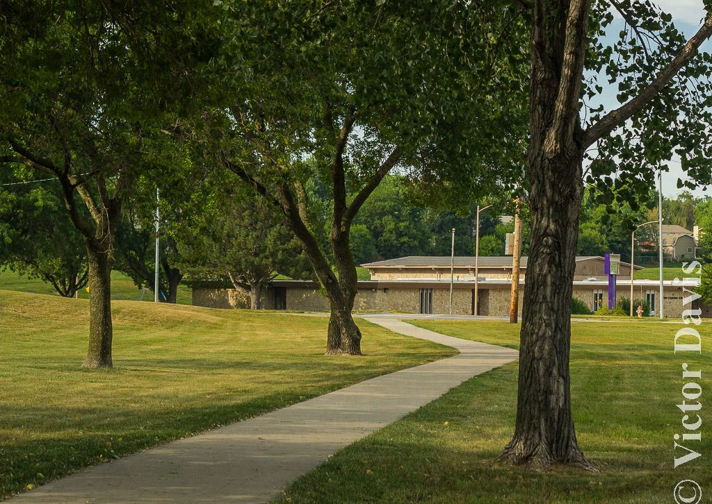 IMAGE: http://i1230.photobucket.com/albums/ee489/VicGenesis/Trees_zpsf58f1d5f.jpg