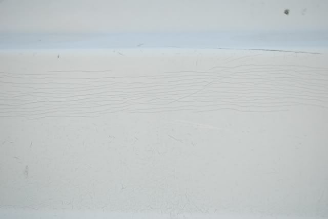 DSC_0165-2.jpg
