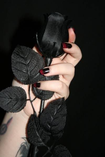 Black Rose 32 by laruala Pictures, Images and Photos