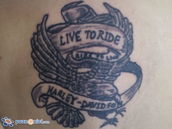 Posted Image
