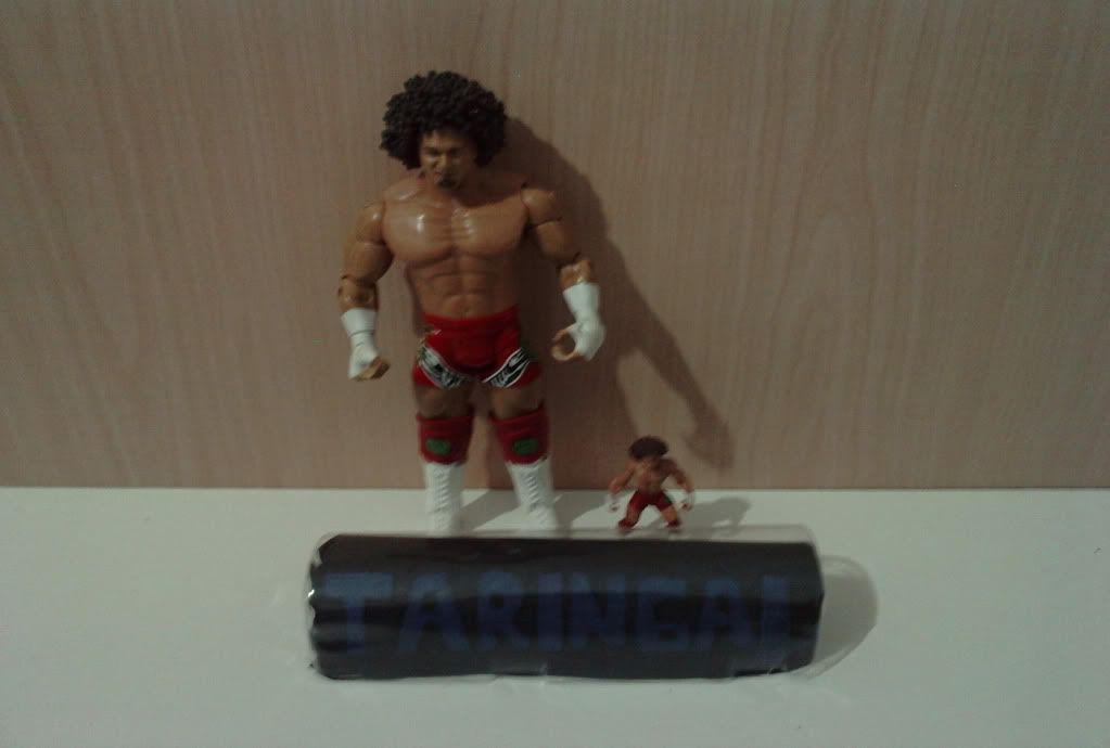 wwe peleas wwe peleas