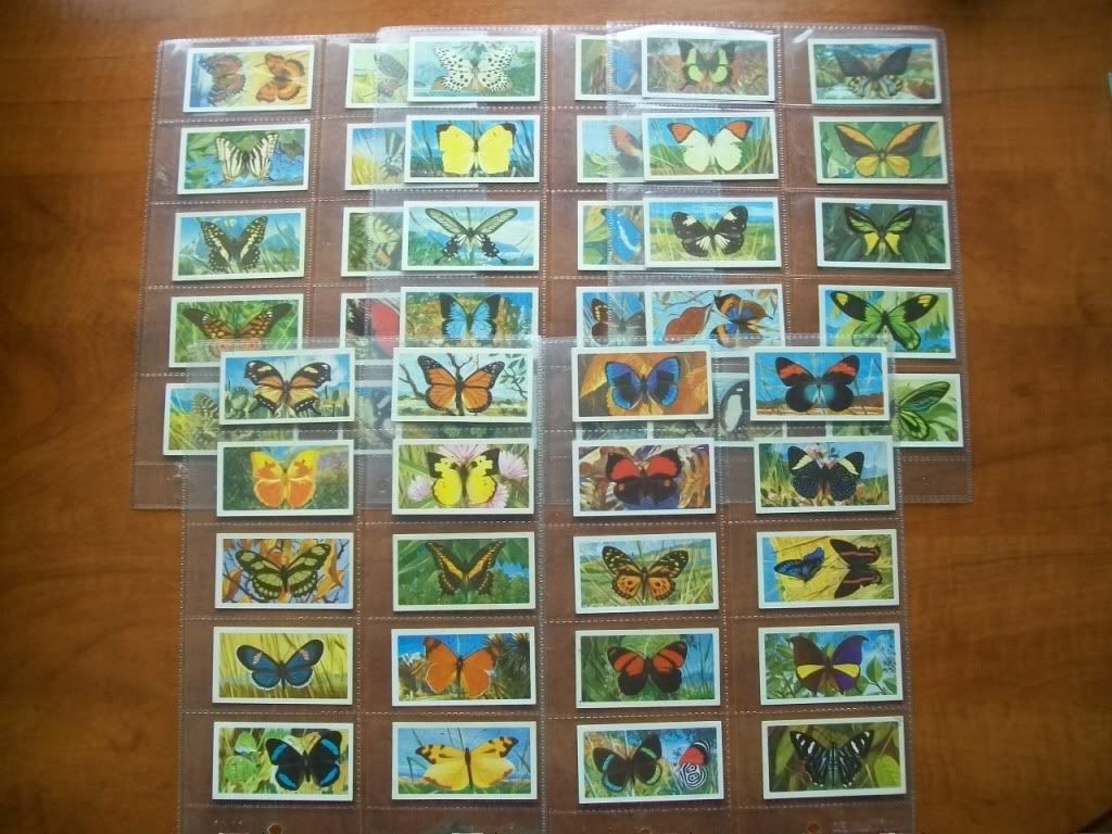 Brooke Bond Cards, Butterflies of the WorldComplete 1963