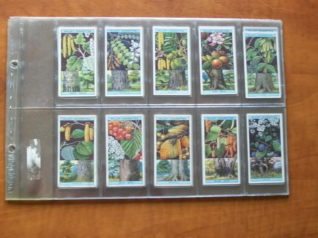 Wills Flowering Trees & Shrubs. Complete 1924