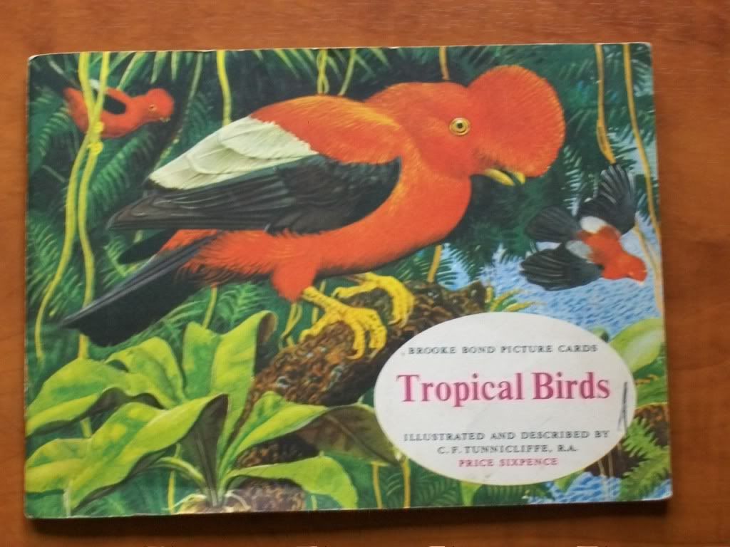 Brooke Bond Cards Tropical Birds 1961
