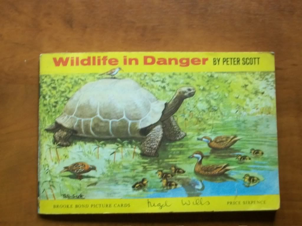 Brooke Bond Cards, Wildlife in Danger 1963