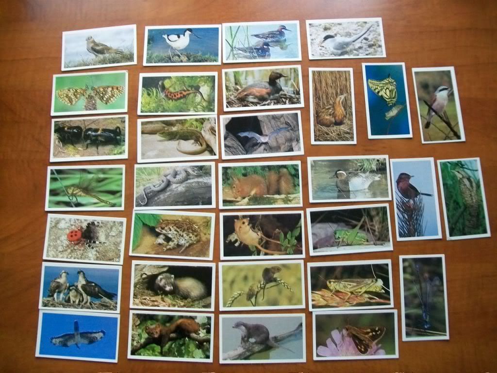 Cigarette Cards, Britains Endangered Wildlife 1984