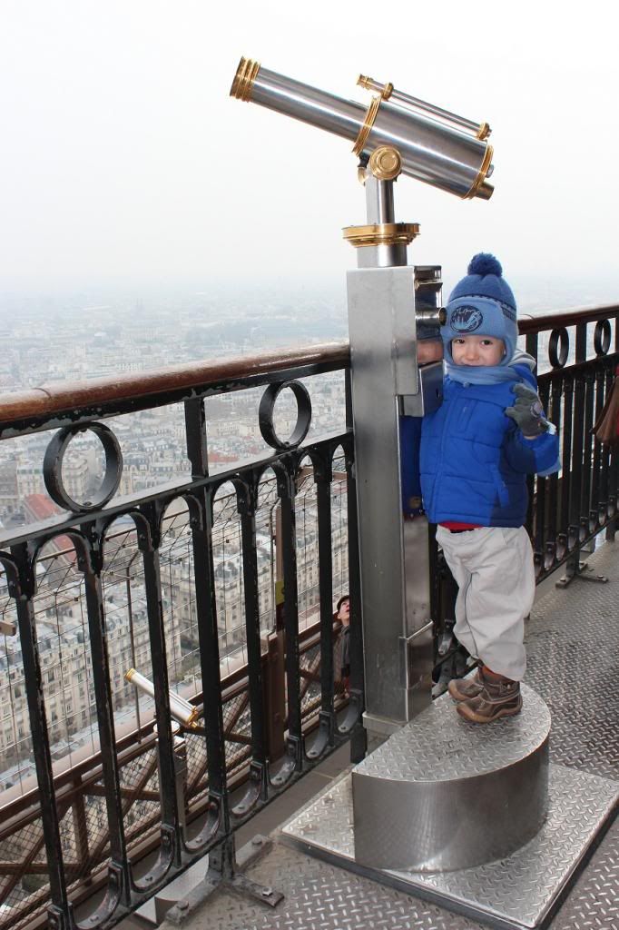  photo Teddy Paris view Eiffel Tower