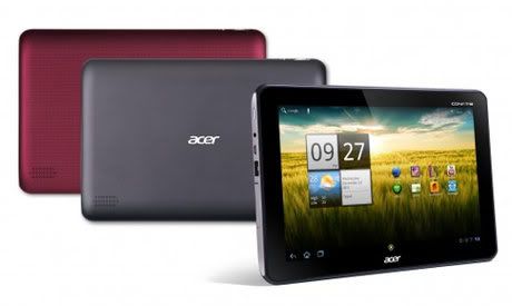 acer-2.jpg