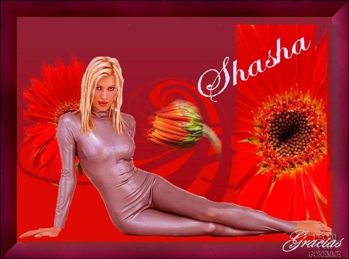 SHASHA-4-2.jpg FIRMA SHASHA